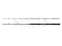 Canna Savage Gear Salmonoid SG2 Trolling 2.44m 20-30lb