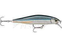 Esca Rapala Precision Xtreme Air Boss Saltwater 10cm 15.5g - Anchovy