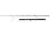Canna Savage Gear Defiance SG2 Jigging Cast 1.80m max 180g