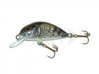 Esca Dorado Scout ST-4 Floating CG