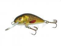 Esca Dorado Scout ST-6 Floating G