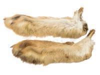 Wapsi Hares Feet