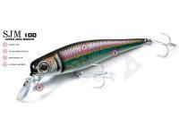 Molix Esche SJM 100 Super Jerk Minnow