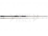 Canna W4 Powershad-T 2nd 8'6" 255 CM 3XH 60-180 G
