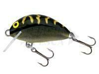 Salmo Tiny IT3F BT