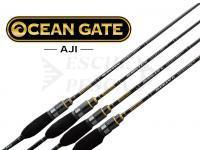 Jackson Ocean Gate Aji