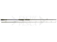 Savage Gear Canne SG4 Big Bait Specialist BC