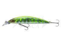 Esche Daiwa Tournament Current Master 93F-SR | 9.3cm 12g - chart back zebra