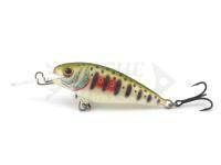 Dorado Invader I-5 Floating DGR