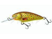 Dorado Invader I-5 Sinking TR