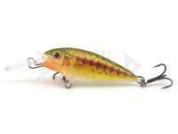 Esca Dorado Invader I-7 Floating GTR