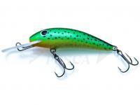 Esca Gloog Kalipso 60SDR - STG