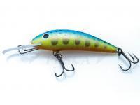 Esca Gloog Kalipso 60SDR - TRB