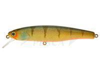 Esche Illex Arnaud 100 F | 10cm 16g - Agressive Perch