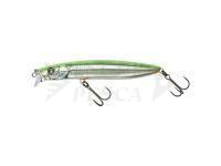 Esca Illex Hagre Minnow 96 F 96mm 12.2g - RT Visible Roach