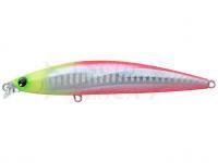 Esca IMA iBORN 98F Shallow 98mm 13g - #019