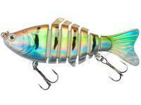 Esca Jaxon Atract Caro 9.5cm 15g - H
