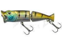 Esca Jaxon Atract Jointed Popper 8cm 11g - I