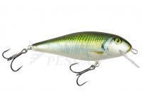 Esca Kenart Falcon Shallow 8cm 10g - GG