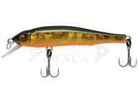 Esca Megabass X-70 SP 71mm 5.6g GG Megabass Kinkuro