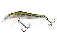 Hard Lure Molix Jubarino 5cm 2.5g | 2 inch 3/32 oz - 177 Vairon