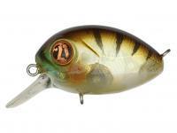 Esca Pontoon21 Baby Red Rag 32F SR | 32mm 4.8g - 807 MI Perch