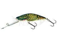 Esche Salmo Bullhead BD8SDR - Bullhead