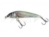 Esche Salmo Minnow M5F - Holo Bleak