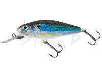 Esche Salmo Perch PH8DR - Holo Smelt