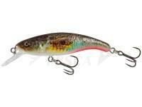 Esche Salmo Slick Stick 6cm - Supernatural Gobie