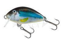 Esche Salmo Tiny IT3S - Holo Smelt