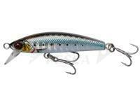Esca Savage Gear Gravity Minnow 6cm 12g Fast Sinking - Sardine Photo Print