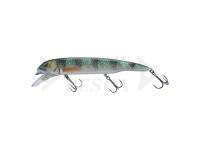 Esca Savage Gear Sucker Flanker 25cm 107g - Perch Glitter