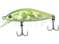 Esca Zipbaits Rigge Flat 45S 45mm 3.8g - 317