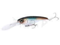 Shimano Bantam Pavlo Shad