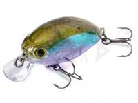 Quantum Esche Fat Minnow SR