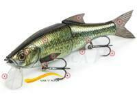 Molix Glide Bait 178 Lip