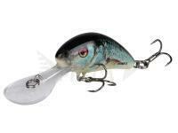 Salmo Hornet 6 cm