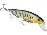 Strike King Esche KVD 300 Jerkbait