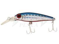 Jackson Esche PY Shad