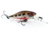 Adam's Esche Shad 34 F MR