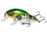 Lucky John Esche dure Shad Craft