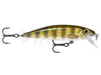 Esca Rapala X-Rap CountDown 7cm - Live Perch