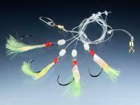 Balzer 71 North Coalfish System