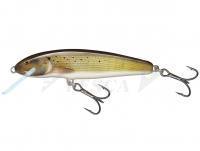 Esche Salmo Minnow Floating 7 | 7cm 6g | 2 3/4" 3/16oz - Grayling