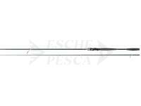 Canna Westin W10 Spin 2nd 3.10m 8-34g