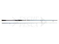 Canna Savage Gear SGS2 Long Casting 9'6" 2.90m F 15-50g MH PE#1.0-1.5 2sec