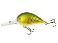 Esca Dorado Alaska 6F GR