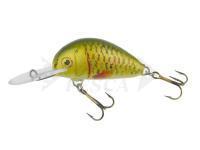 Esca Dorado Alaska A-3,5 Floating GR