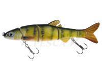 Esca Jaxon Atract Multi-Parts XMP-G 15cm D